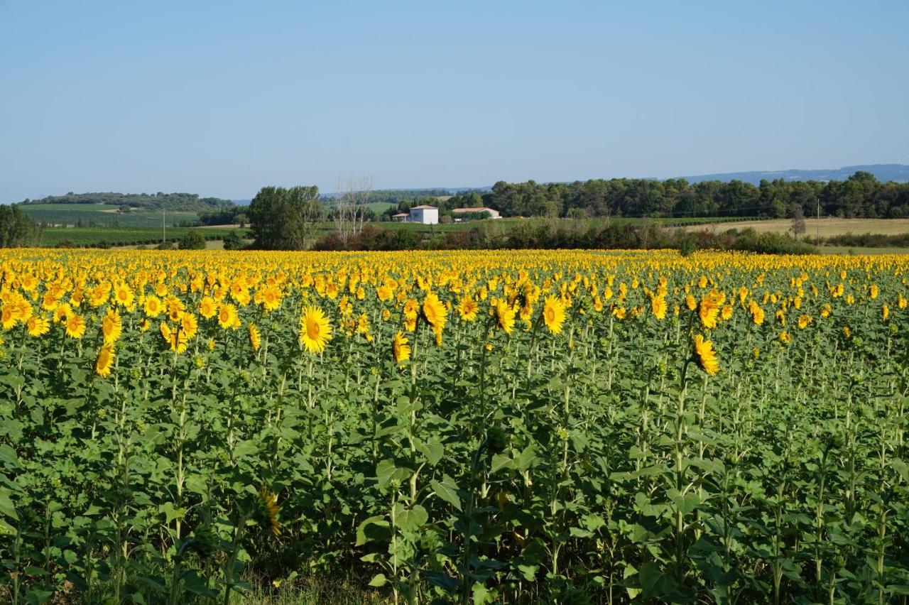 Le Clos Des Troubadours Pennautier Bagian luar foto