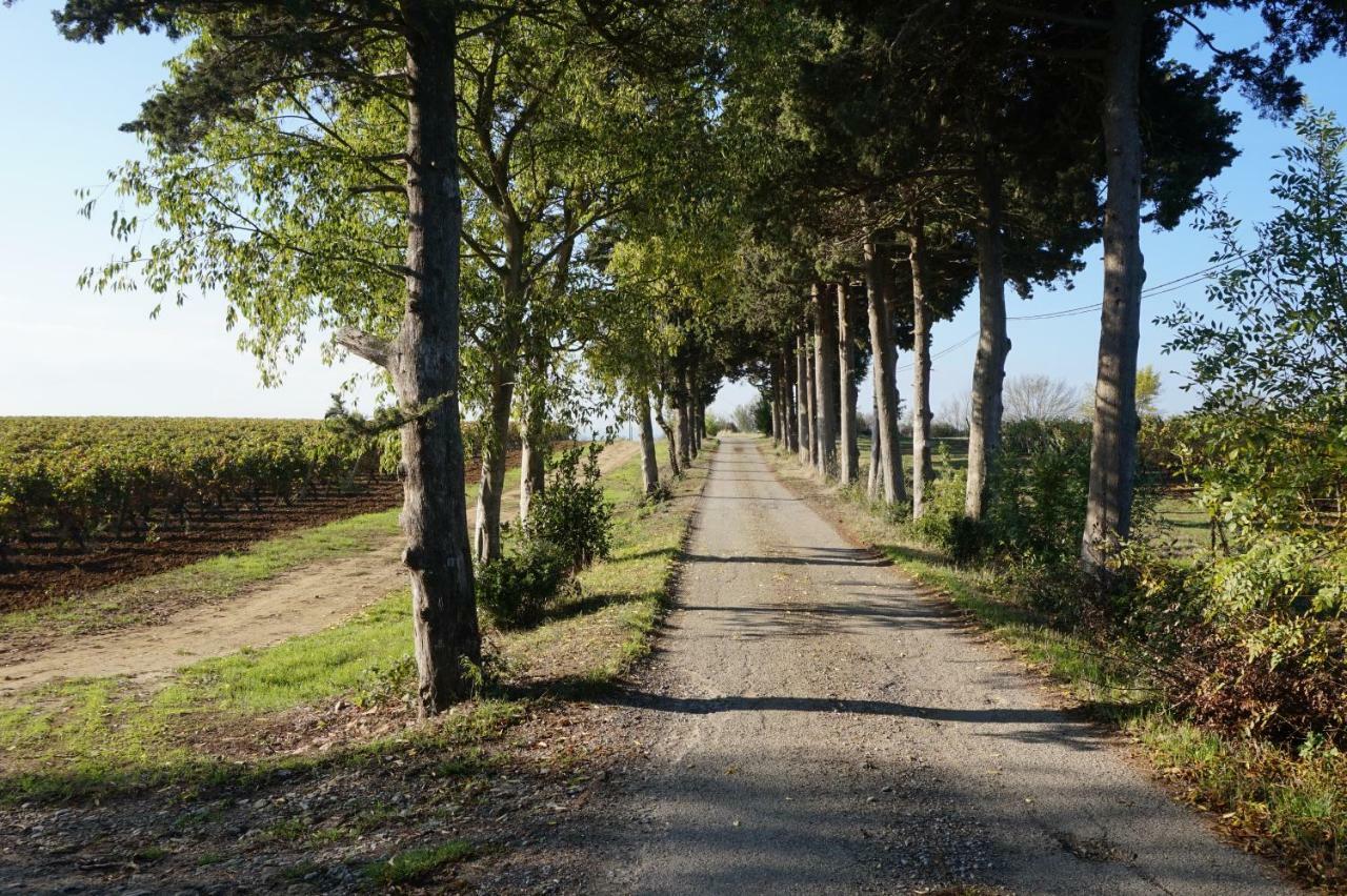 Le Clos Des Troubadours Pennautier Bagian luar foto